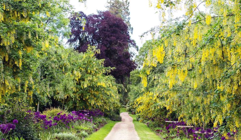 Ireland estate garden road