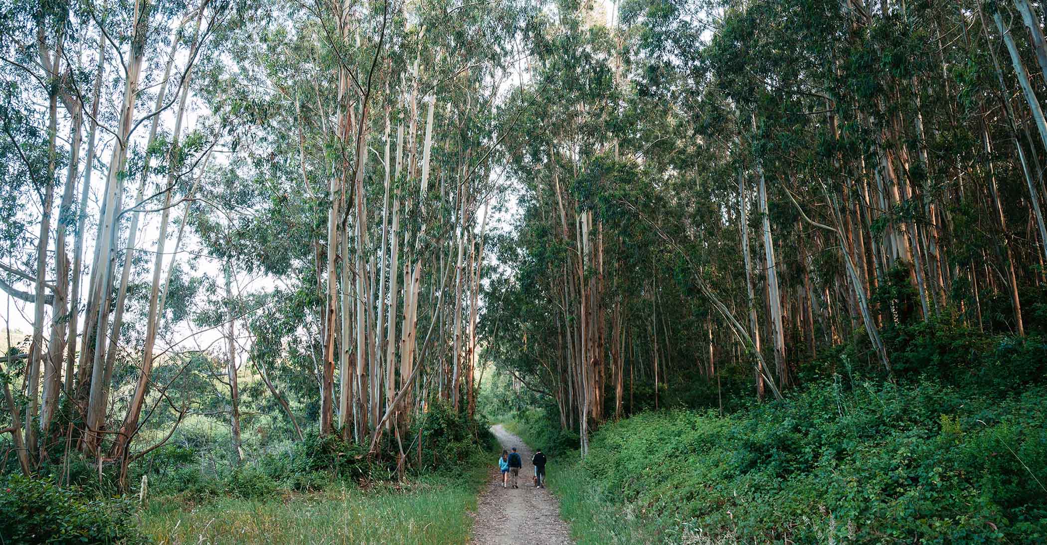 People hiking in Northern California