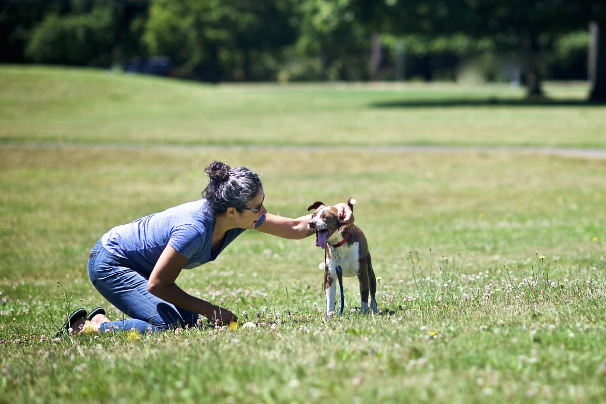 Portland pet photography