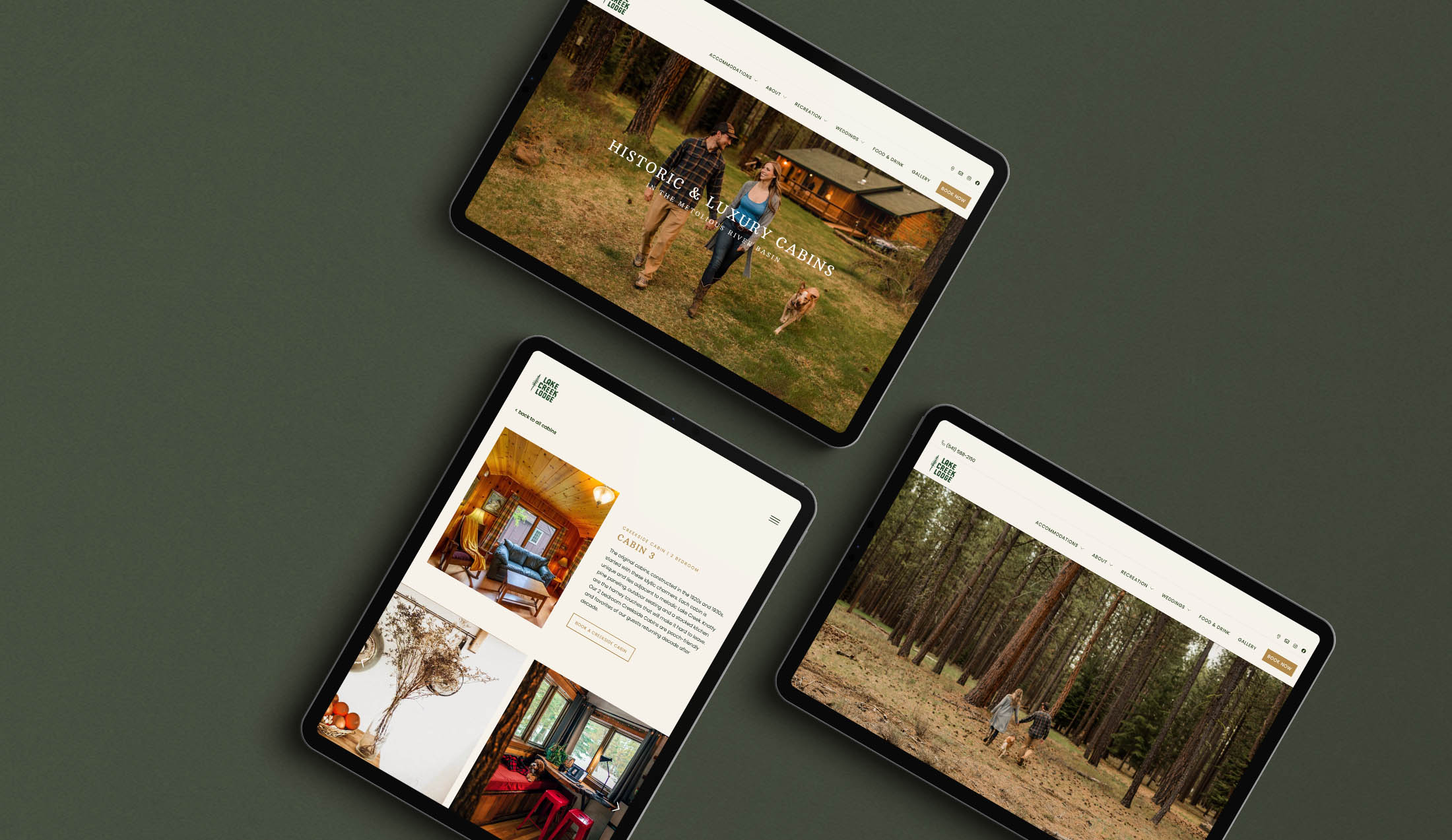 Web design for Lake Creek Lodge