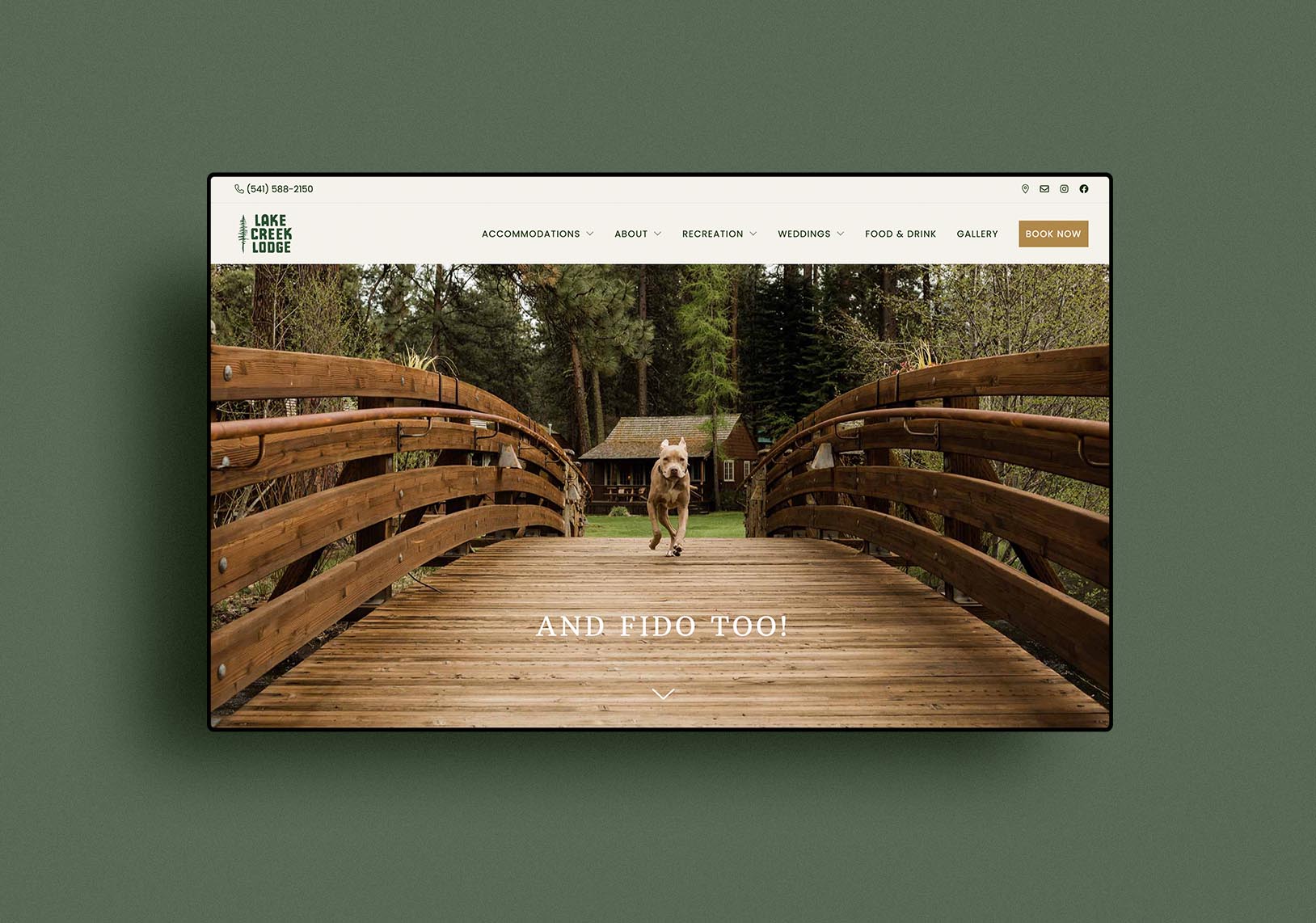 web design pet-friendly lake creek lodge