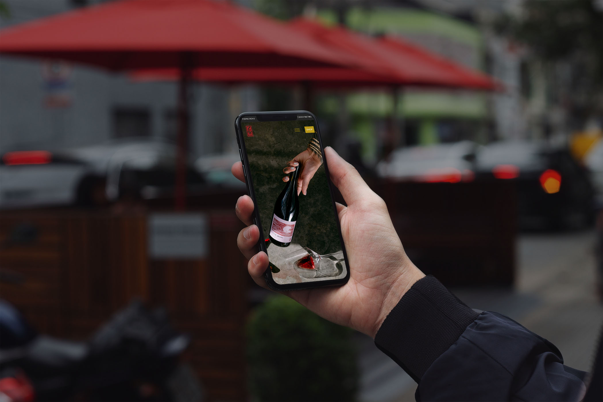 hand holding an iphone with winery website